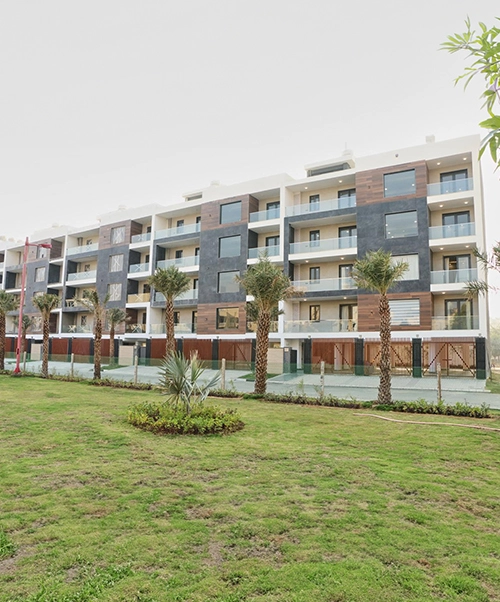 spj-website-image-resize.jpg3